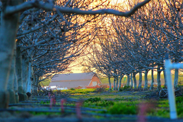 快速故障恢复的短信轰炸免费在线网站