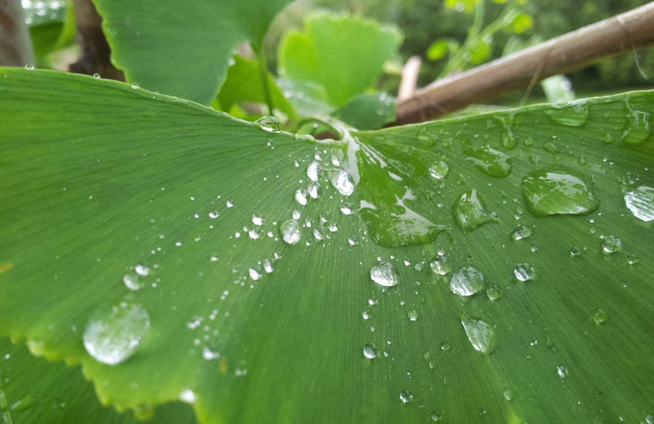 短信狂轰滥炸软件